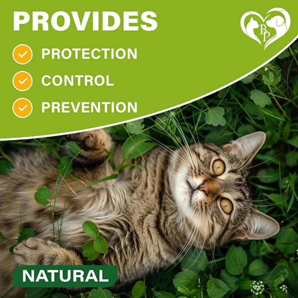 New Natural Flea and Tick Collar for Cats with 6 Month Protection
